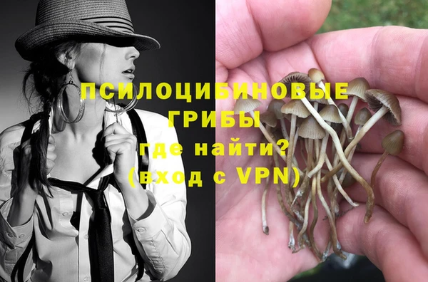 ALPHA PVP Богородицк